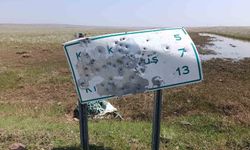 Arpaçay'da yol tabelalarını hedef tahtasına çevirdiler