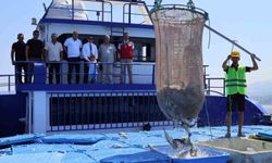Arsuz'da üretilen balıklar Avrupa'ya ihraç ediliyor