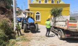 Aydın Büyükşehir'den Karpuzlu'daki yeşil alanlarda bakım ve düzenleme çalışması