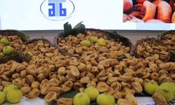 Aydın'da sezonun ilk kuru inciri 850 liradan satıldı