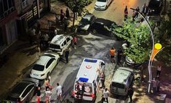 Bafra'da kontrolden çıkan otomobil park halindeki 6 araca çarptı
