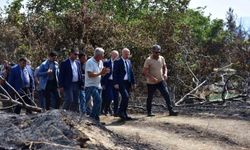 Bakan Yardımcısı Bulut ve Vali Varol yangın bölgesinde incelemelerde bulundu