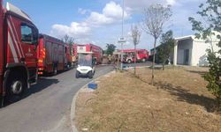 Bakırköy'de hastane bahçesinde korkutan yangın