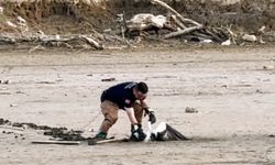 Balçığa saplanan leyleğin imdadına itfaiye yetişti