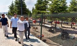 Başkan Hakan Şehirli Hayvan Bakımevi'ni ziyaret etti
