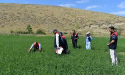 Bayburt'ta üretim planlaması kontrollerinde sona yaklaşıldı
