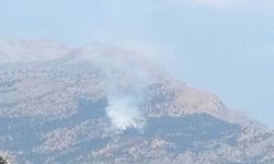 Baykan'da Kalems Dağı'nda yangın