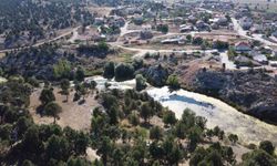 Beyşehir'in simge misafirleri göç etti, yuvalar boş kaldı