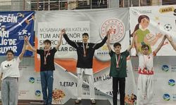 Bilecikli sporcu Türkiye ikincisi oldu