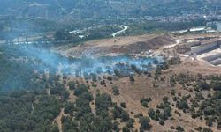 Bilecik'te ormanlık alanda başlayan yangın kontrol altına alındı