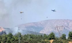 Bilecik'te ormanlık alanda yangın başladı