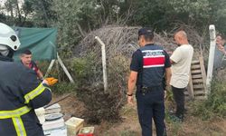 Bilecik'te ot ve çalılık yangını büyümeden söndürüldü