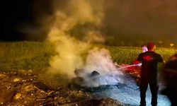 Bilecik'te yol kenarındaki çöp birikintisi alev aldı