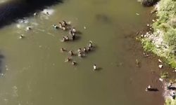 Bingöl'de suda kaybolan kişiyi vatandaşların kurtarma mücadelesi dronla görüntülendi