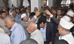 Bitlis'te husumet barışla son buldu