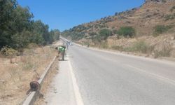 Bodrum'da ot temizliği çalışmaları sürüyor