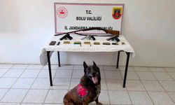 Bolu'da evinde silah ve mühimmat bulunan şüpheli tutuklandı