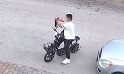 Bolu'da yavru kediyi önce öpüp sonra boğan otizmli çocuk serbest bırakıldı