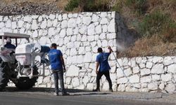 Bozdoğan'da haşereyle mücadele sürüyor
