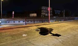 Bursa'da makas atan otomobil refüje çarptı: 17 yaşındaki sürücü hayatını kaybetti