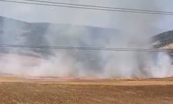 Bursa'da tarlalık alanı ateşe veren şüpheli yakalandı