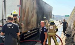 Canlı hayvan nakil aracı otoyolda alev aldı