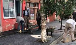 Çıldır Belediyesi'nden kaldırım yenileme çalışması