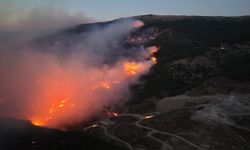 Çine'deki orman yangınında yaralanan şahıs hayatını kaybetti