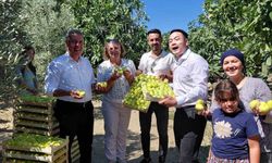 Çinli fenomen çift Aydın incirine hayran kaldı