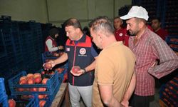 Çivril'de şeftalinin üretimden pazarlamaya yolculuğu incelendi