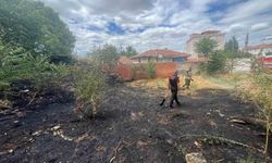 Çorum'da otluk alanda çıkan yangının evlere itfaiye önledi