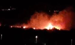 Denizli'de ovalık alanda yangın paniği