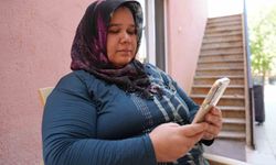 Denizli'de sokak hayvanlarının zehirlenerek öldürüldüğü iddiası