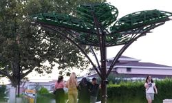 Denizli'de 'Solar Ağaç' kent yaşamıyla buluştu