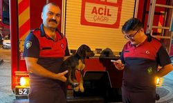 Depoya düşen köpek, itfaiye ekiplerince kurtarıldı