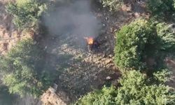 Diyarbakır'da 5,7 ton toz esrar elde edilebilecek kök kenevir ve skunk imha edildi