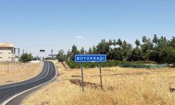Diyarbakır'da kedinin ısırdığı çocuk entübe edildi, testlerde kuduz çıktı