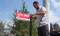 Düzce'de cadde ve sokak tabelaları tamamlanıyor
