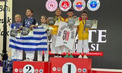 Düzceli karateciler Gemlik'te zirveye çıktı