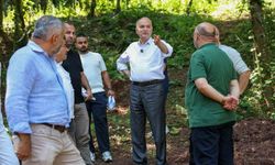 Düzce'ye 19 yeni bungalov ev yapılıyor