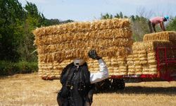 Edirne'de balya işçilerinin sıcak havada zorlu mesaisi