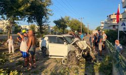 Edremit'te otomobil ağaca çarptı