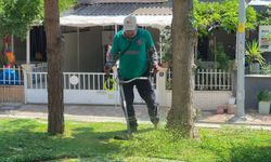 Efeler'de yeşil alanların bakımı sürüyor