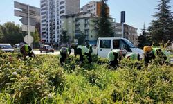 Elazığ Belediyesi, kent genelinde çalışmalarını sürdürüyor