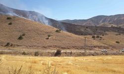 Elazığ'da anız yangını söndürüldü