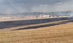 Elazığ'da anız yangını