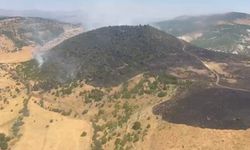 Elazığ'daki orman yangını söndürüldü
