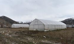 Erzincan'da sera örtüsü yenileme desteği başvuruları uzatıldı