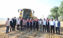 Erzurum Valisi Baruş'tan meslek lisesinde buğday hasadı