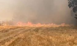 Eskipazar'da anız yangını korkuttu
